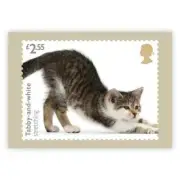 CATS, TABBY-AND-WHITE STRETCHING, ORIGINAL ROYAL MAIL POSTCARD (1), YEAR 2022