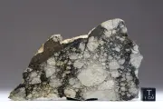 NWA 15658 - 44,6g - HED Eucrite melt breccia - Meteorite