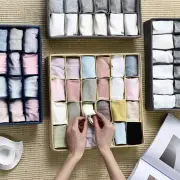 Wardrobe Organizer Thickened Dirt-proof 24 Grids Bra Socks Underwear Storage Box