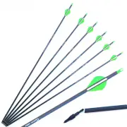 Spine 300 400 Pure Carbon Arrows Straightness +/-.003 Length 28/30/31 Inches