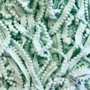 Pom Pom Fringe Tassel Trim per mtr - Mint Green