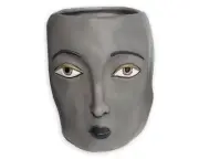 Modern Face Planter