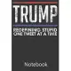 Trump Redefining Stupid One Tweet at a Time: Blank Lined Notebook Write To Do Lists, Drawing, Meeting Note, Goal Setting, Funny Gifts For Christmas Bi