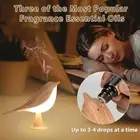 2-in-1 Bird Diffuser Lamp Cordless USB LED Touch Sensor Bedside Desk Light Decor