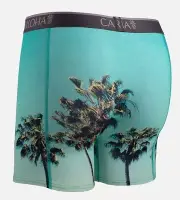 Cariloha Bamboo Boxer Briefs - Sky Palm - Large