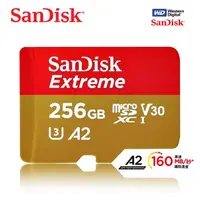 在飛比找PChome24h購物優惠-SanDisk Extreme microSDXC UHS-