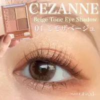 在飛比找蝦皮購物優惠-CEZANNE 眼影04 塞尚 CEZANNE 浪漫3D眼影