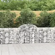 Arched Gabion Baskets 5 pcs 200x30x80/100 cm Galvanised Iron Lawn Planter