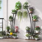 6-Tier Indoor Plant Stand Pack of 2 - Metal Curved Display Shelf with Hanging Hooks