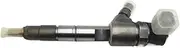 Fuel Injector 1112100-E06-C1, Compatible for Great Wall, Pickup Fengjun 5 Fengjun 6 Electric Fuel Injector 0445110517