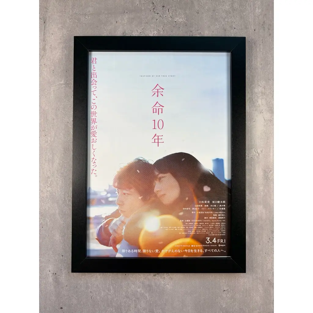 坂口健太郎的比價推薦- 2026年09月|飛比價格