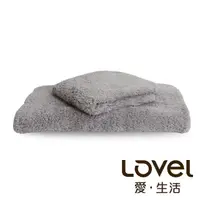 在飛比找momo購物網優惠-【Lovel】7倍強效吸水抗菌超細纖維毛巾/方巾2件組(共9