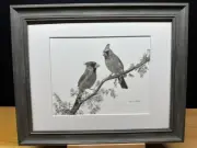 Drawing of a Male & Female Cardinal Birds Graphite Pencil Sketch Picture Print