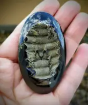 Simbircite Geode, ID 901, 61x36 mm