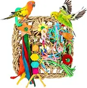 Cockatiel Toys, budgie toys, parrot toys