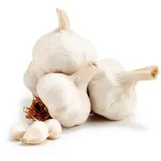Garlic Head each