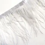 Ostrich Feathers Strung per metre - White