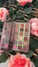 18 colours eyeshadow palette makeup kit shimmer matte eyeshadow powder