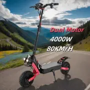 Foldable Electric Scooter 4000W Dual Motor 11" Tyre 80KM/H 70KM