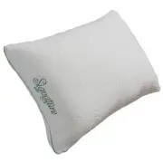 Pacific Coast Feather Protect-A-Bed Foam All Sleep Pillow - Standard
