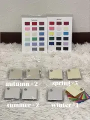 Swatch Mini 18 Color Card Advice Sheet Personal Diagnosis