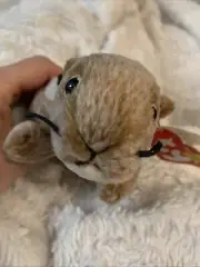Original TY Beanie Baby Babies Chipper 1999 Chipmunk