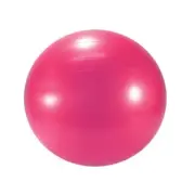 Gymnic 30 cm Exercise Ball