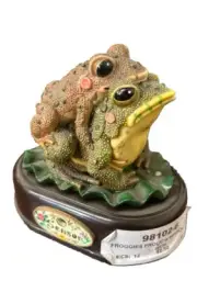 Froggies Frolic w/ Sensor