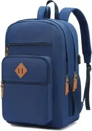 Laptop Backpack for Work, College, Travel, Daily Backpacks Men Blue