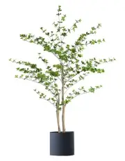 [SOGA] Potted Watercress Artificial Plant 180cm in Multi
