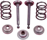 Intake Exhaust Valve Spring Retainer Stem Seal Set Kit Fit for GX25 HHT25S GX 25 Brush Cu Engine Part