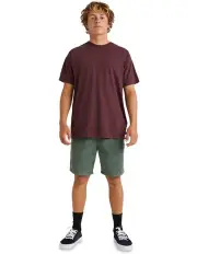[Billabong] Premium Wave Wash Short Sleeves Tee in Purple