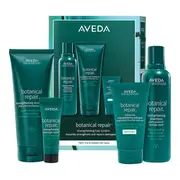 [AVEDA] Botanical Repair Light Value Kit