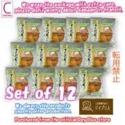 Day Plus Hokkaido Cream Natural Yeast Bread Airy 12 pcs 960g Japan Express air