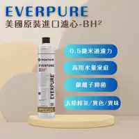 在飛比找momo購物網優惠-【PENTAIR濱特爾】EVERPURE BH2 美國原廠進