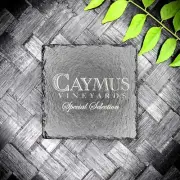 Caymus Vineyards Slate Coaster Brand New Handcrafted Laser Engraved Square