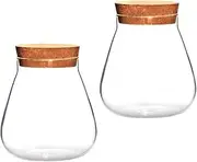 Totority 2Pcs Decorative Clear Glass Bottles with Cork Lids Plant Nourishing Vases for Succulent Display and Terrarium Jars for Home Decor and Micro Landscape Centerpieces