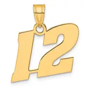14k Yellow Gold Polished Block Number 12 Pendant