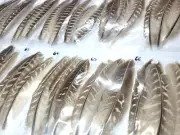 PHEASANT TAIL FEATHERS - U PICK - Various Feather Packs - Fly Tying Materials