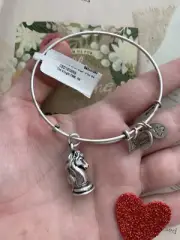 Alex and Ani bracelet RS Silver The Knight Charm Bangle CBD16TKRS NEW28