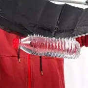 magic carpet trap quality attractant fold at will