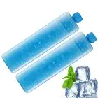 2pcs Freezer Ice Blocks Cooler Pack Bag Freezer Picnic Travel Reusable Portable