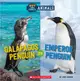 Galapagos Penguin or Emperor Penguin (Hot and Cold Animals)