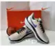 Nike W Air Zoom Pegasus 39 女鞋 米白運動慢跑鞋DH4072-006