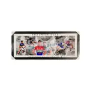 Bradman Best Newcastle Knights Panoramic Memorabilia Framed