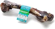 Kangaroo Bone Femur Natural Dog Treats