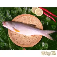 在飛比找momo購物網優惠-【新鮮市集】人氣原味午仔魚(250-300g/尾)