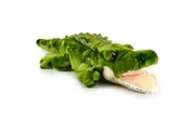 Korimco 75cm Snappy Crocodile Kids Animal Soft Plush Stuffed Toy Green 3y+
