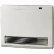 Rinnai Avenger 25 Convector3m HoseNG AV25N3