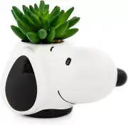 Snoopy Face Ceramic Mini Planter with Artificial Succulent | Small Flower Pot, F